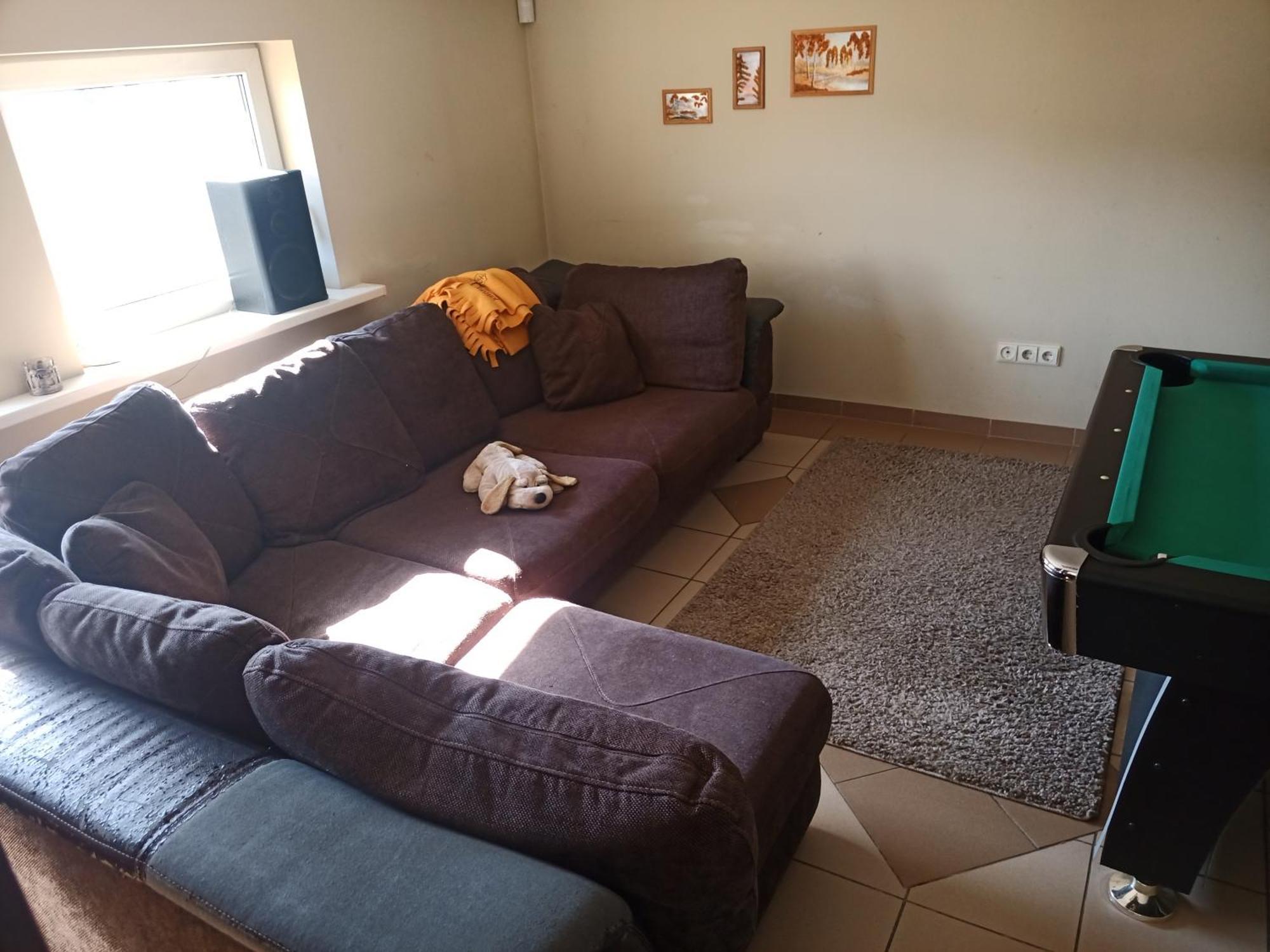 Vilnius Cat Friendly Apartment Exterior foto